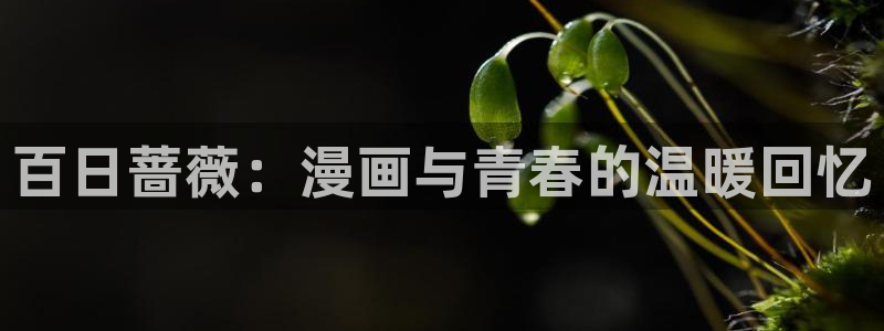 禁漫天堂18cmomic