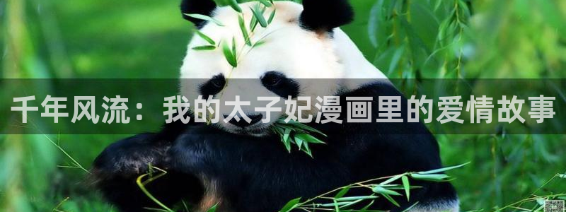 禁漫天堂哔咔漫画：千年风流：我的太子妃漫画里的爱情故事