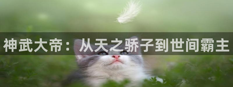 成人动漫禁漫天堂：神武大帝：从天之骄子到世间霸主